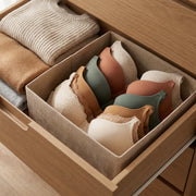 Sandy Foldable Storage Organizer