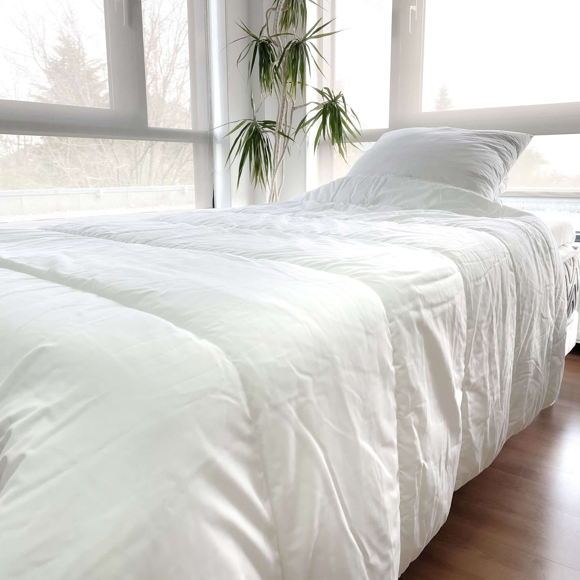 Pack couette 220x240 cm + une housse de rangement de rangement sous vide Life taille L