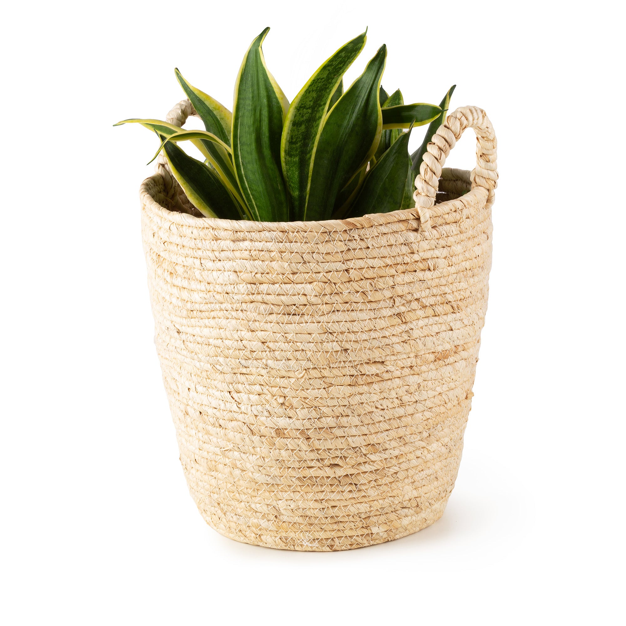 Lhasa storage basket with handles