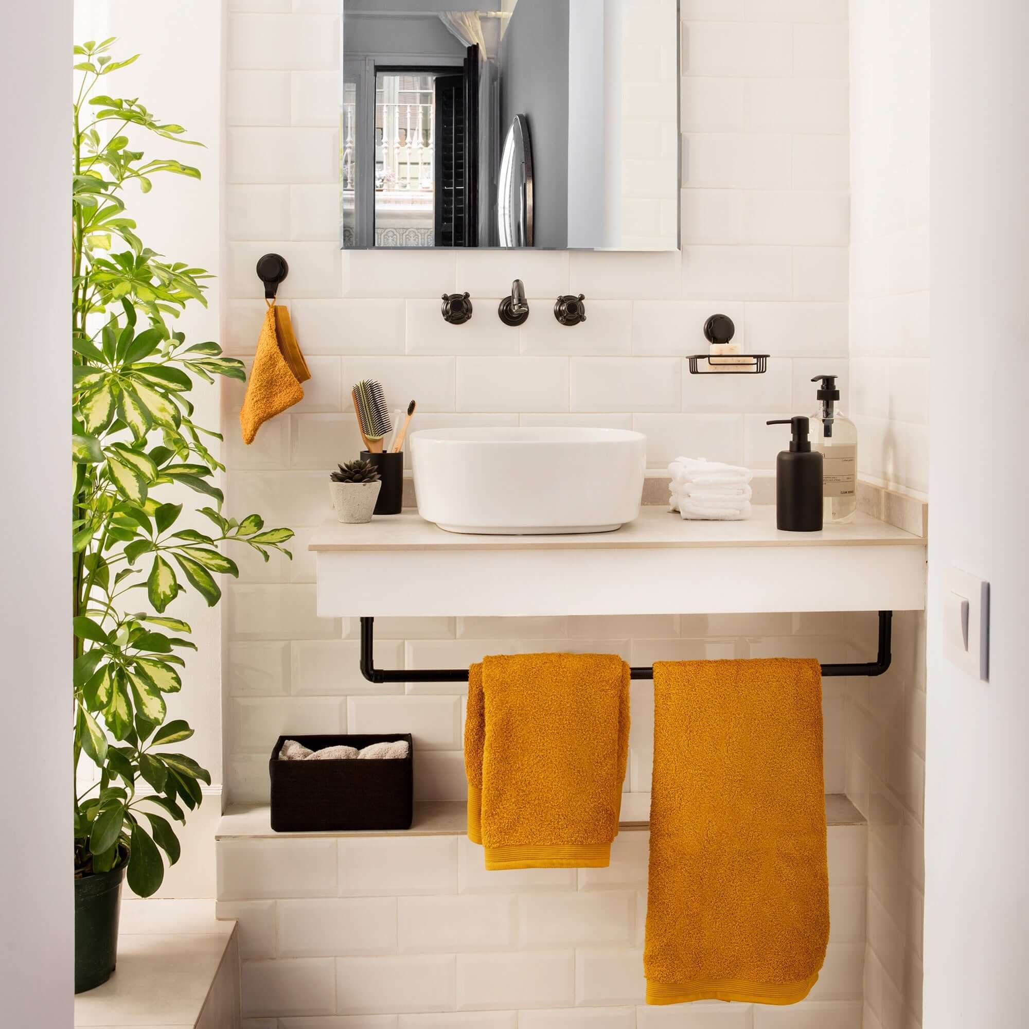 Bestlock Jabonera con ventosa negra negra