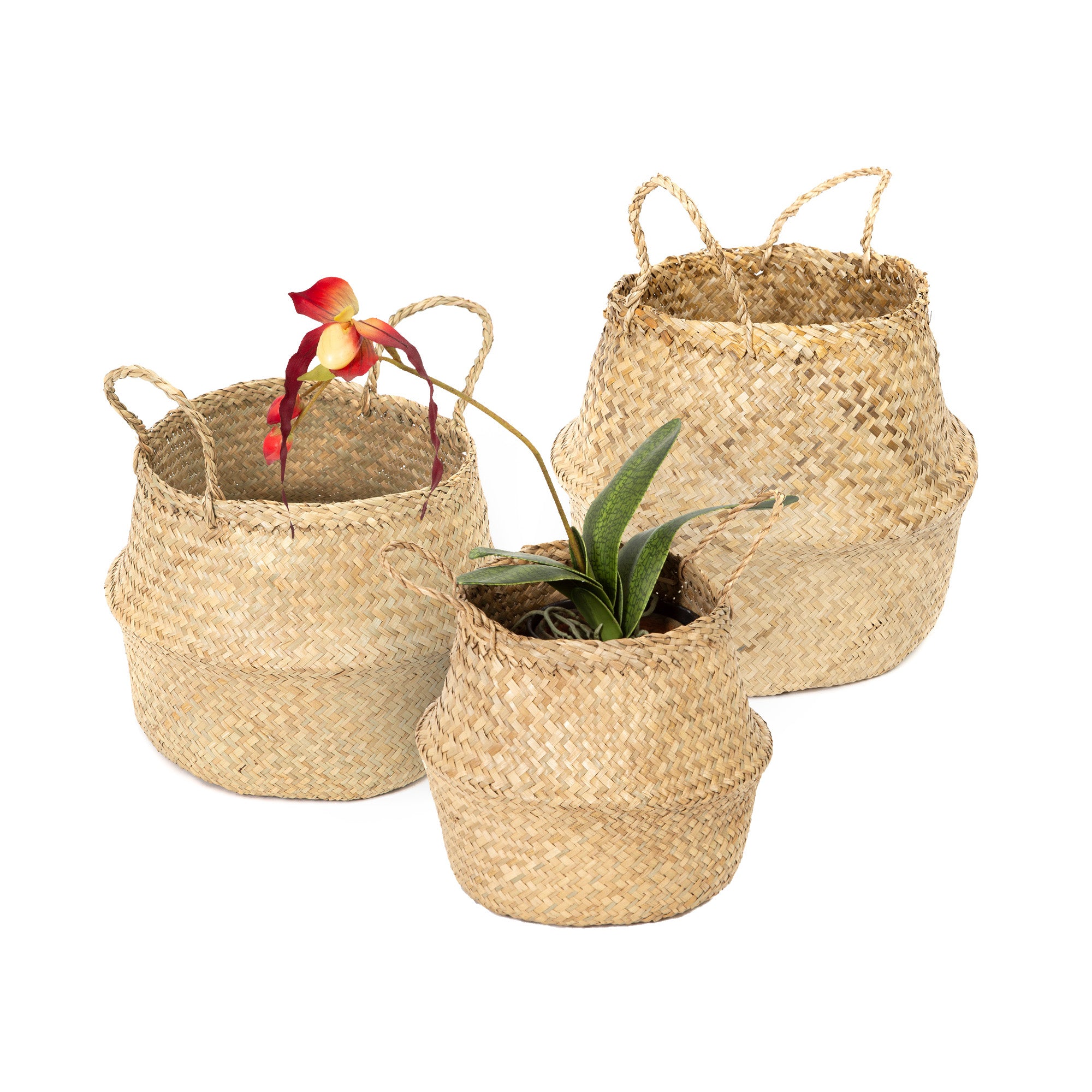 Lot 3 paniers de rangement Belly S-M-L